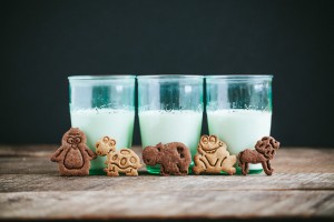 Animal Crackers {Chocolate and Cinnamon} | Gather & Dine