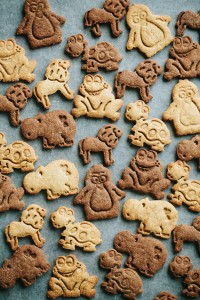 Animal Crackers {Chocolate and Cinnamon} | Gather & Dine